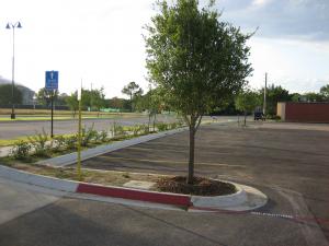 Cowboys Gameday Parking
